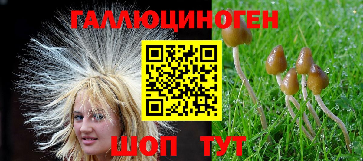 Галлюциногенные грибы Magic Shrooms Зеленодольск