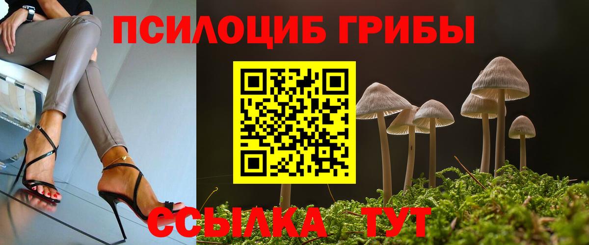Зеленодольск  Галлюциногенные грибы мухоморы  Галлюциногенные грибы Magic Shrooms  Вход с VPN 
